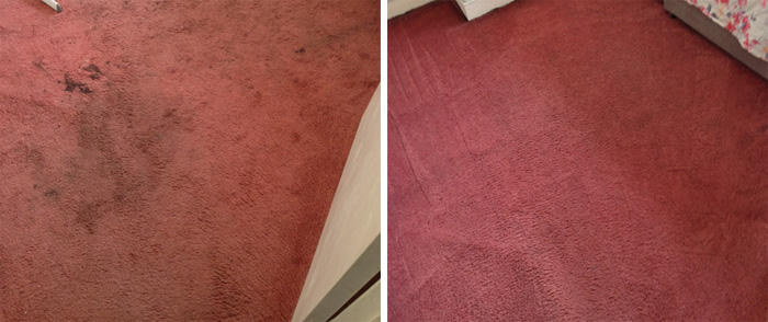 carpet cleaning northwood