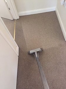 Carpet Cleaner Watford
