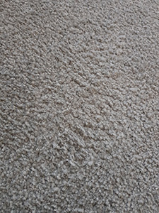 Removing Carpet Stains Buckinghamshire