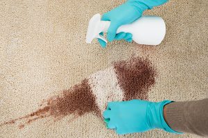 Problem carpet Stains Ruislip