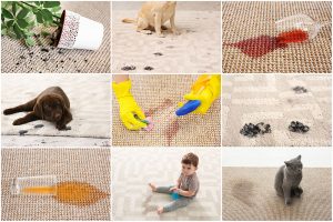 Spot Stain Removal Little Chalfont 