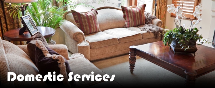 Domestic Services