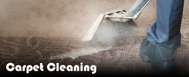 Carpet Cleaning Ruislip, Watford, Pinner, Ealing, Northwood, Uxbridge, Harrow